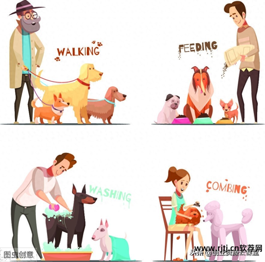 电视有网但是播放异常_电视播放网络电视_有哪些网络电视播放器软件