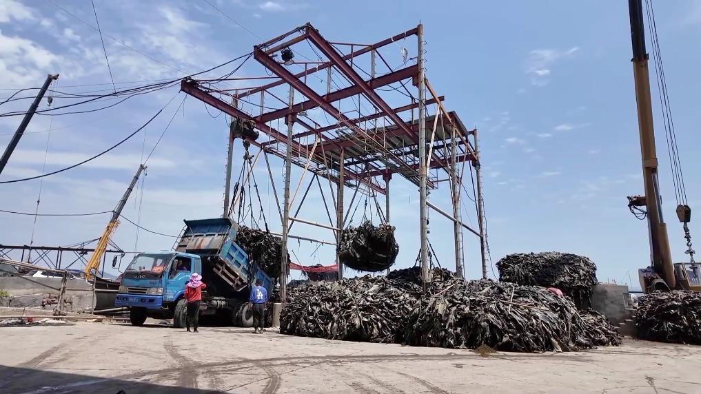 科技赋能“耕海牧渔” 连江书写“蓝色答卷”