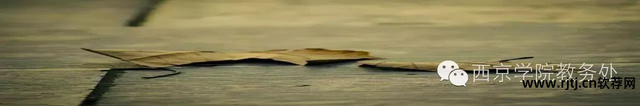 迈西背单词音标对吗_单词软件_迈西单词软件