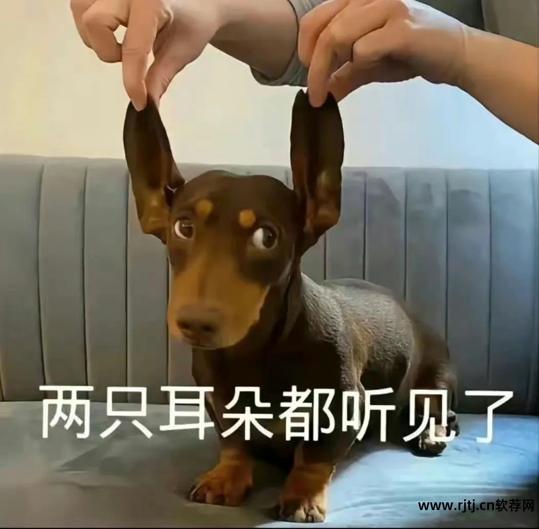 火车票秒杀软件哪个好_火车票秒杀软件哪个好_火车票秒杀软件哪个好