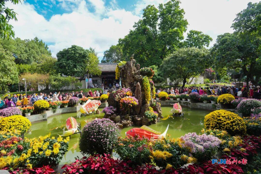 全城寻人！11月20日在福建博物院晨跑的姑娘，你在哪？