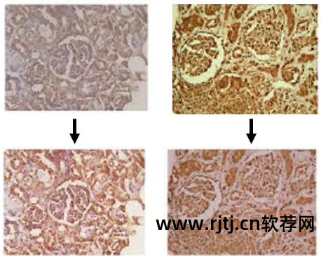 高分辨率软件字体小_高分辨率软件字体小_高分辨率软件字体小