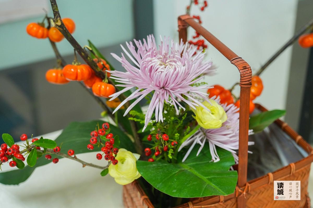 读城｜小雪时节醉花香！晋安河畔这场菊展和朱熹有关……