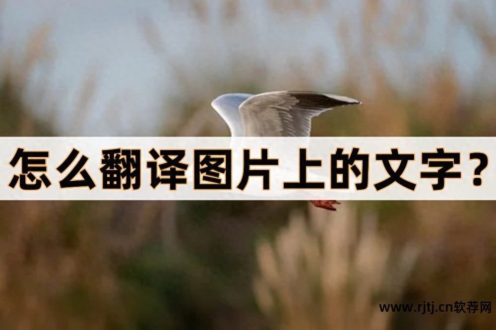 字体韩文软件下载_字体韩文软件有哪些_韩文字体软件