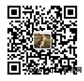 免费站群系统_2020站群软件_免费站群软件