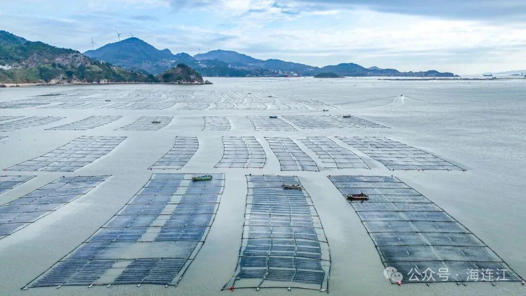 11万亩!全国40%来自福州这里 11万亩!全国40%来自福州这里