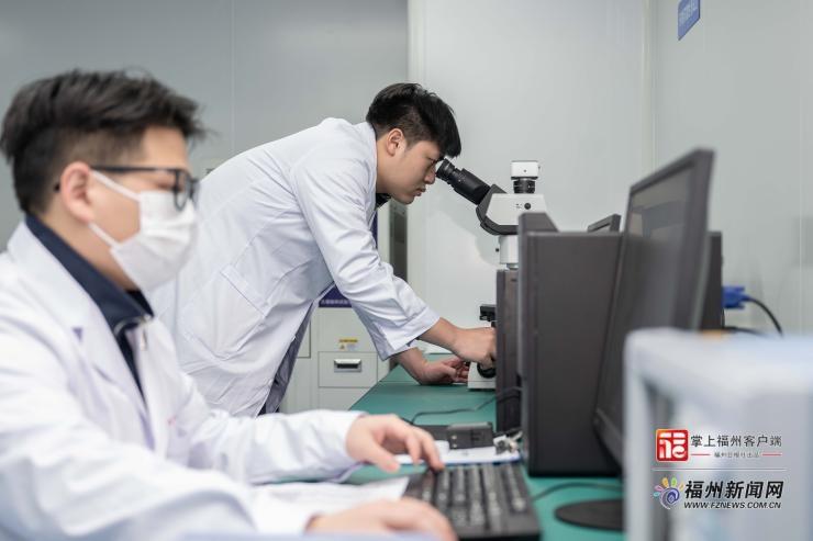 “新”中有数|福州的“钱袋子”会思考?看产业基金如何点“企”成金! “新”中有数|福州的“钱袋子”会思考?看产业基金如何点“企”成金!