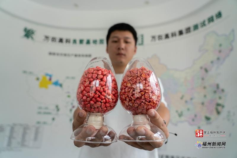 山海来讯｜​福州农企组团“霸榜”！