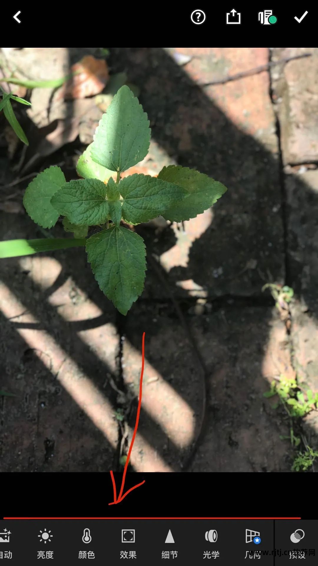 lr软件修图教程_入门级修图软件_修图入门软件