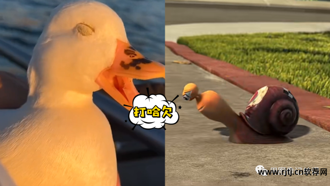 趣味记英语单词的软件_有趣记单词软件_趣味记单词的软件