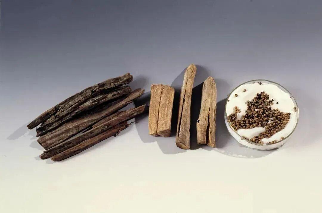 闽人智慧丨宋元中国，刺桐城是怎样当上文明交流互鉴“课代表”的？