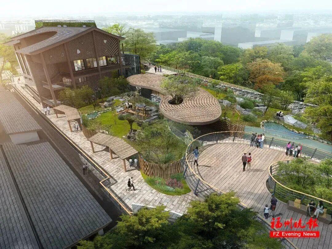 福州熊猫世界元旦开园？最新回应！