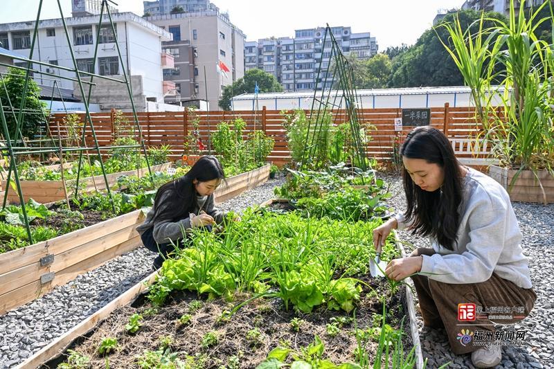县在发生｜福州上演“空间魔术”！这些宝藏角落你打卡了吗？