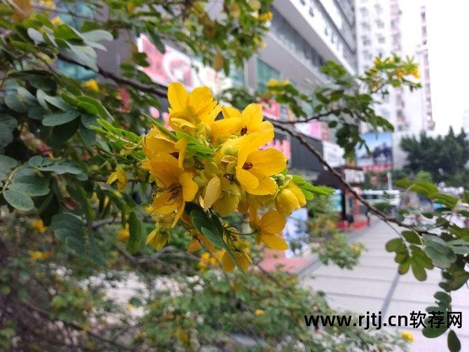 电视海信网页软件叫什么_电视海信网页软件怎么下载_海信电视软件网页