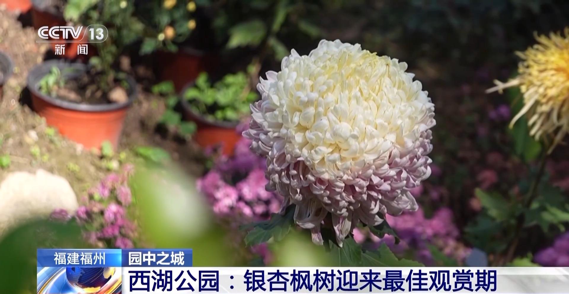 央视:定时“体检” 福州人的城市会客厅藏着“科技密码” 央视:定时“体检” 福州人的城市会客厅藏着“科技密码”