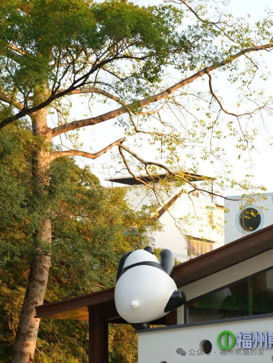 福州熊猫世界关于无人机禁飞的温馨提示