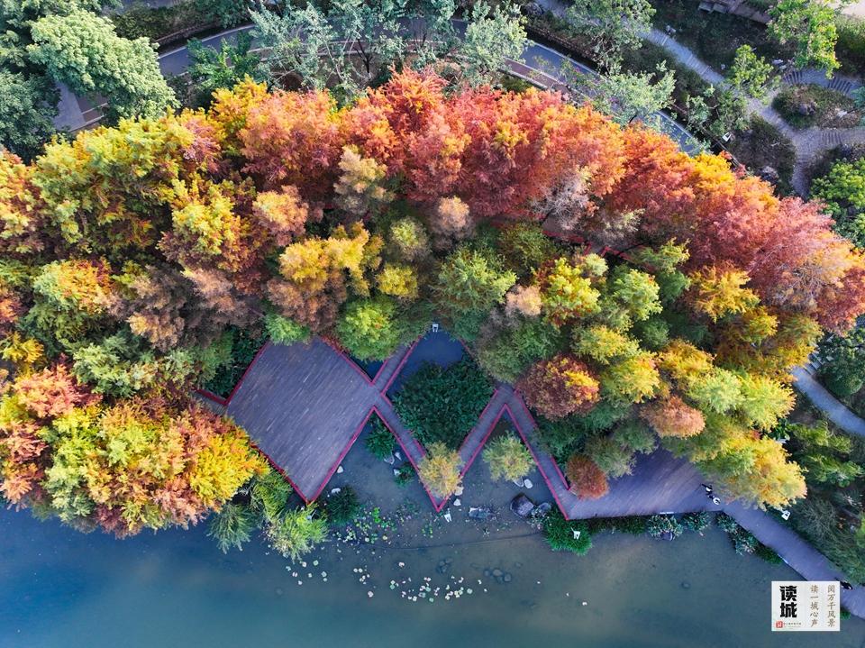 读城|旧籍书影续文脉 重现福州古东湖 读城|旧籍书影续文脉 重现福州古东湖