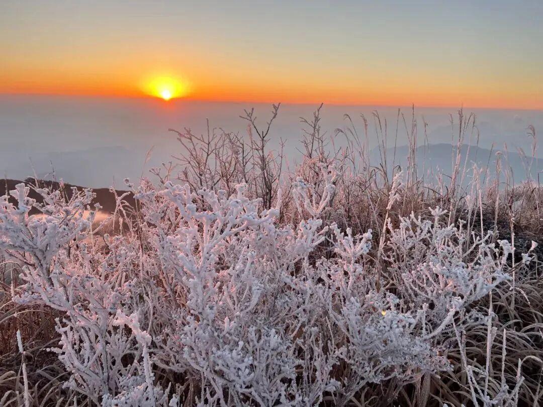 气温“高台跳水”，最低-4℃！福建会迎来2026年的第一场雪吗？