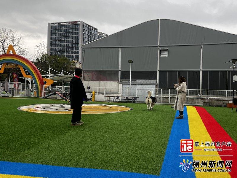 新消费｜萌宠也要过大年！福州宠物消费市场迎来“春节档”