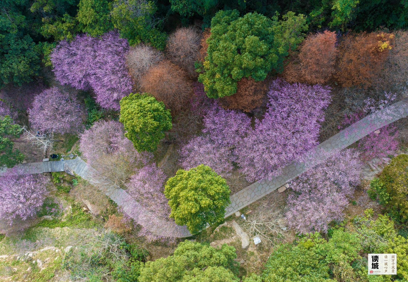 读城｜一张免费车票，带你体验满满福州年味
