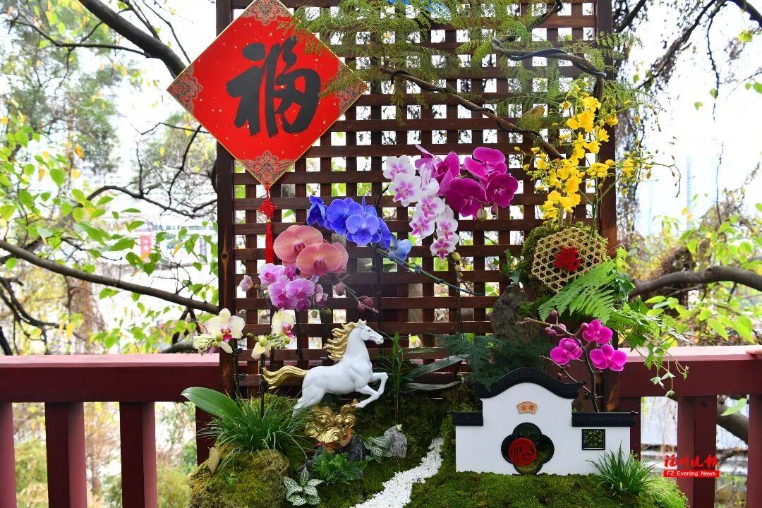 免费！去福州于山，看兰花！