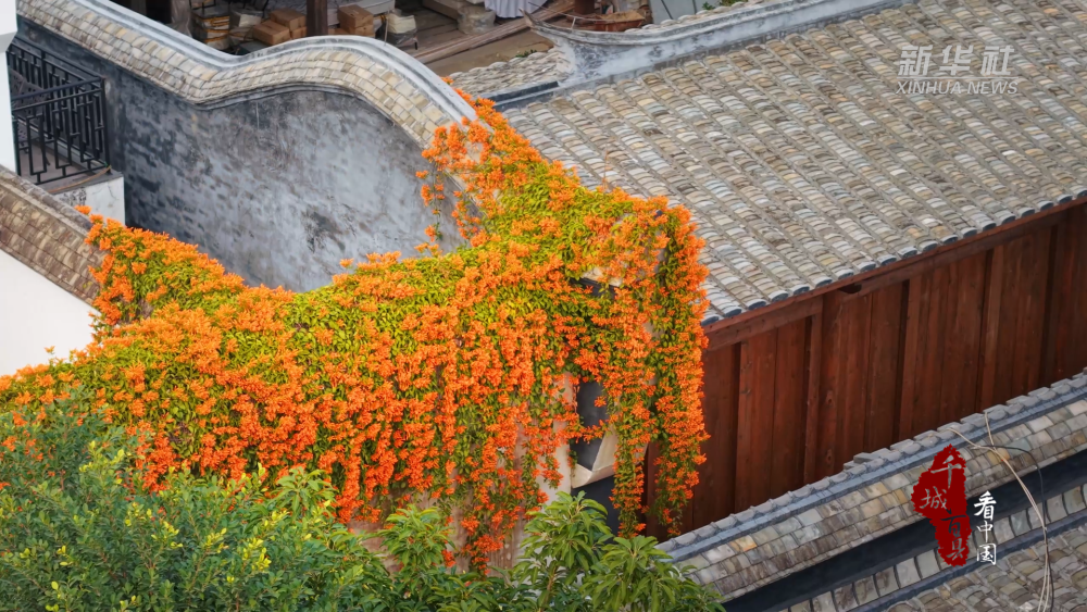 千城百县看中国｜福建福州：立春悄至 遇见鼓楼