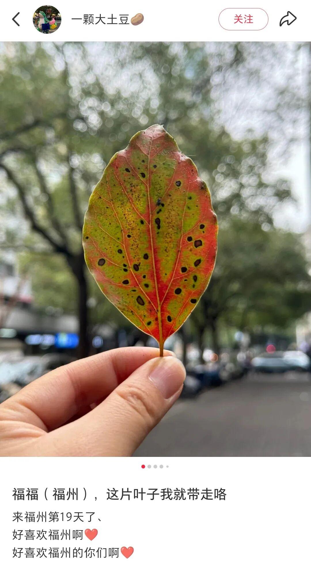 “人在工位，想念福州！”外地游客的“福式情话”是这样说的……