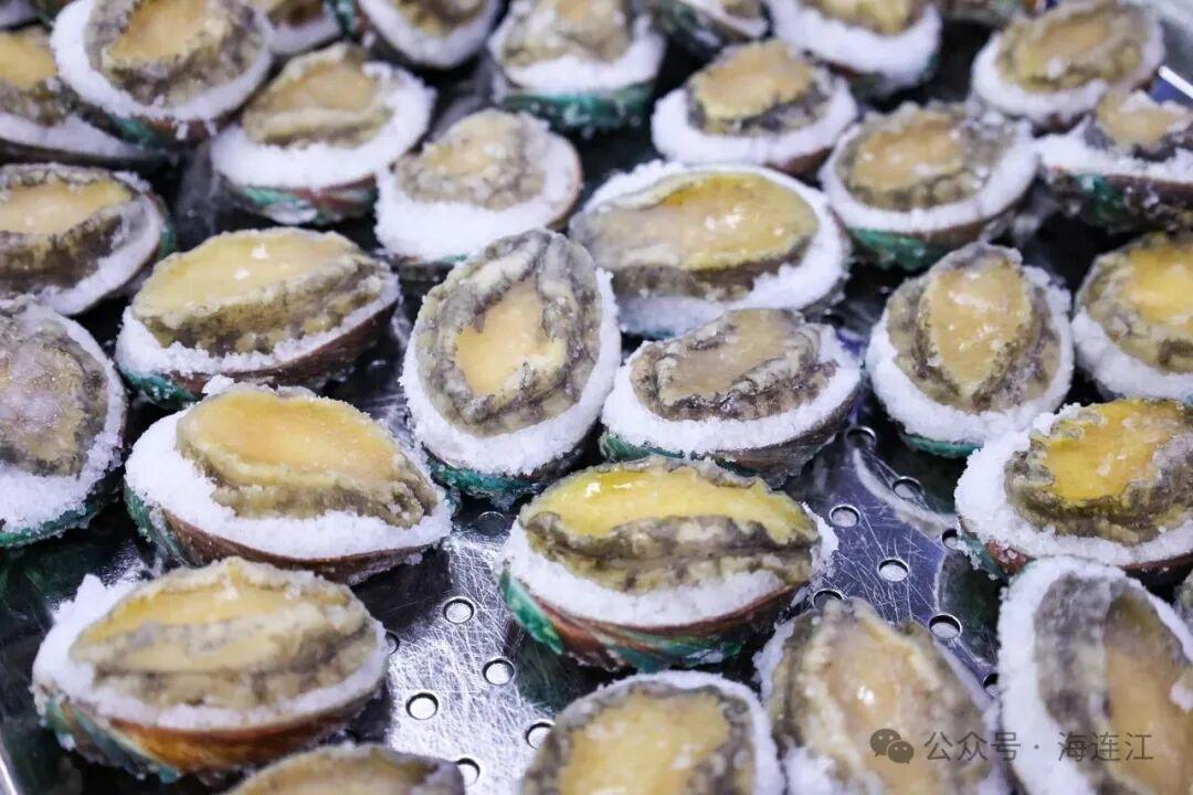 新春“开门红”，连江企业开足马力赶制“鲍”款！