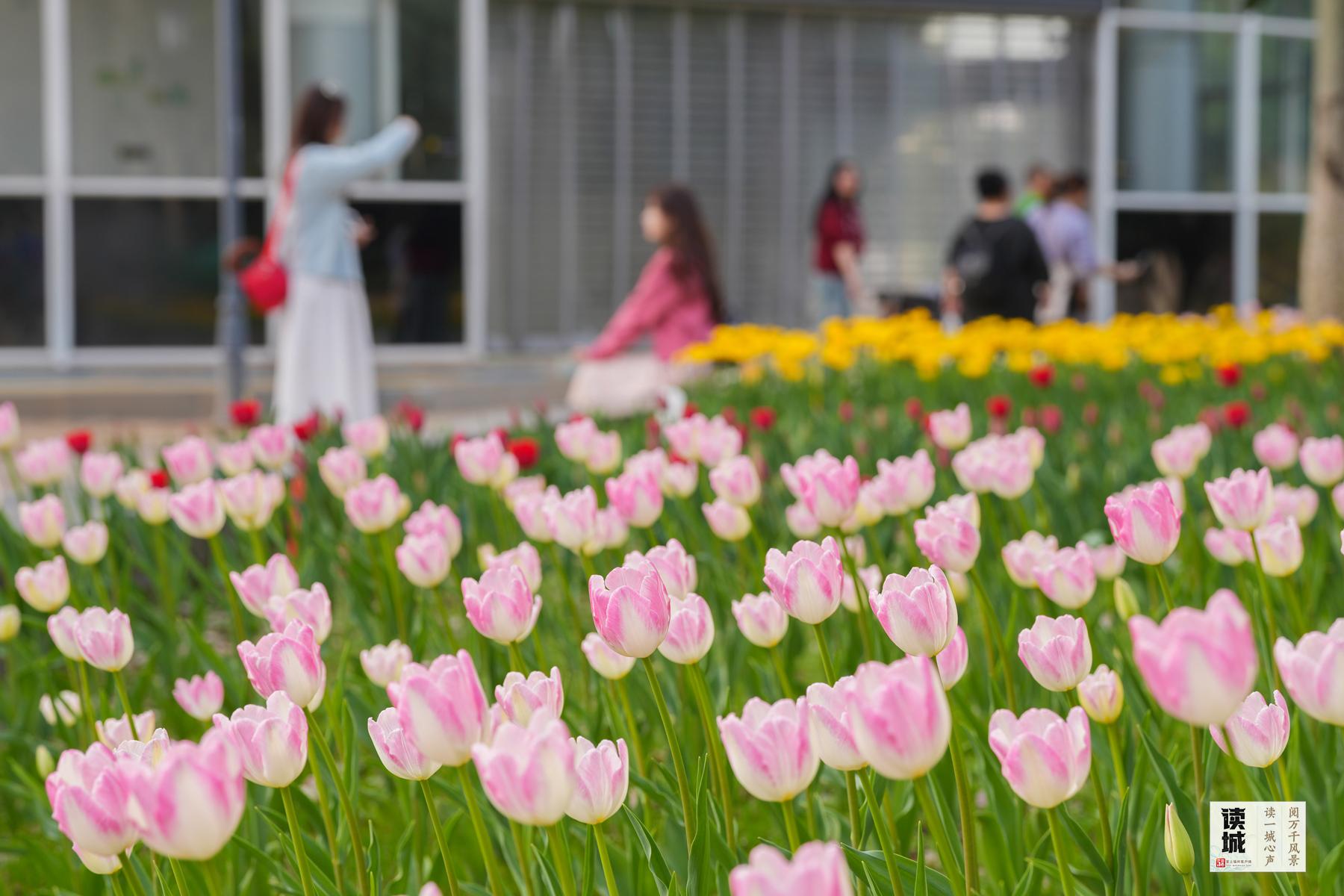 读城｜一张免费车票，带你体验满满福州年味