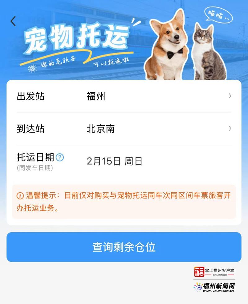 新消费｜萌宠也要过大年！福州宠物消费市场迎来“春节档”