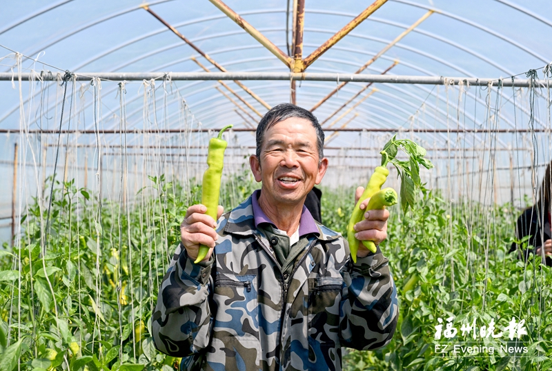 福清江南村：红色热土“莓”景如画