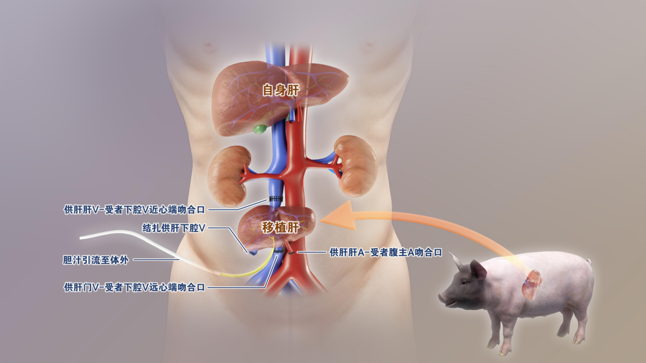 2025年度“中国科学十大进展”发布