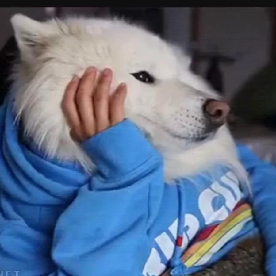 冷门小众却冷艳的网名