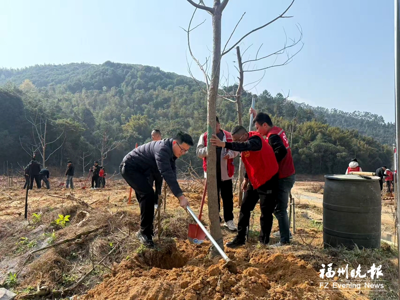 罗源创新推出山核桃树认养模式 种下百棵树渣场变农场