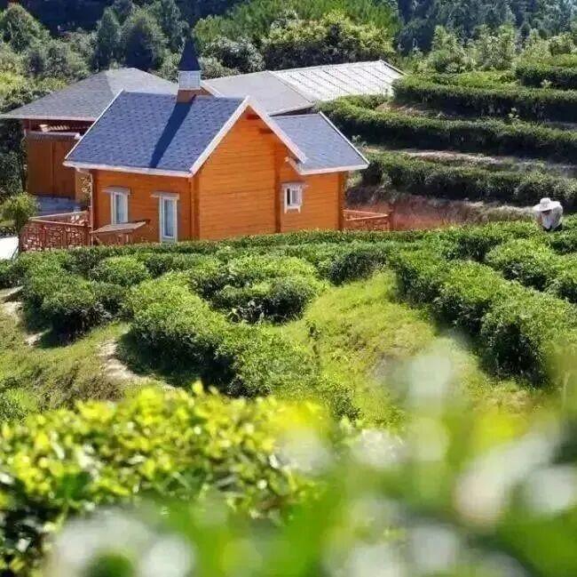 太惬意了！来晋安，“逛春日”！