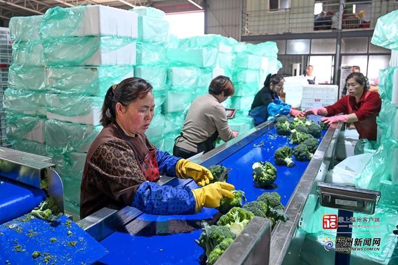 山海来讯|“钱”景可期!福州田野奏响“春耕序曲” 山海来讯|“钱”景可期!福州田野奏响“春耕序曲”