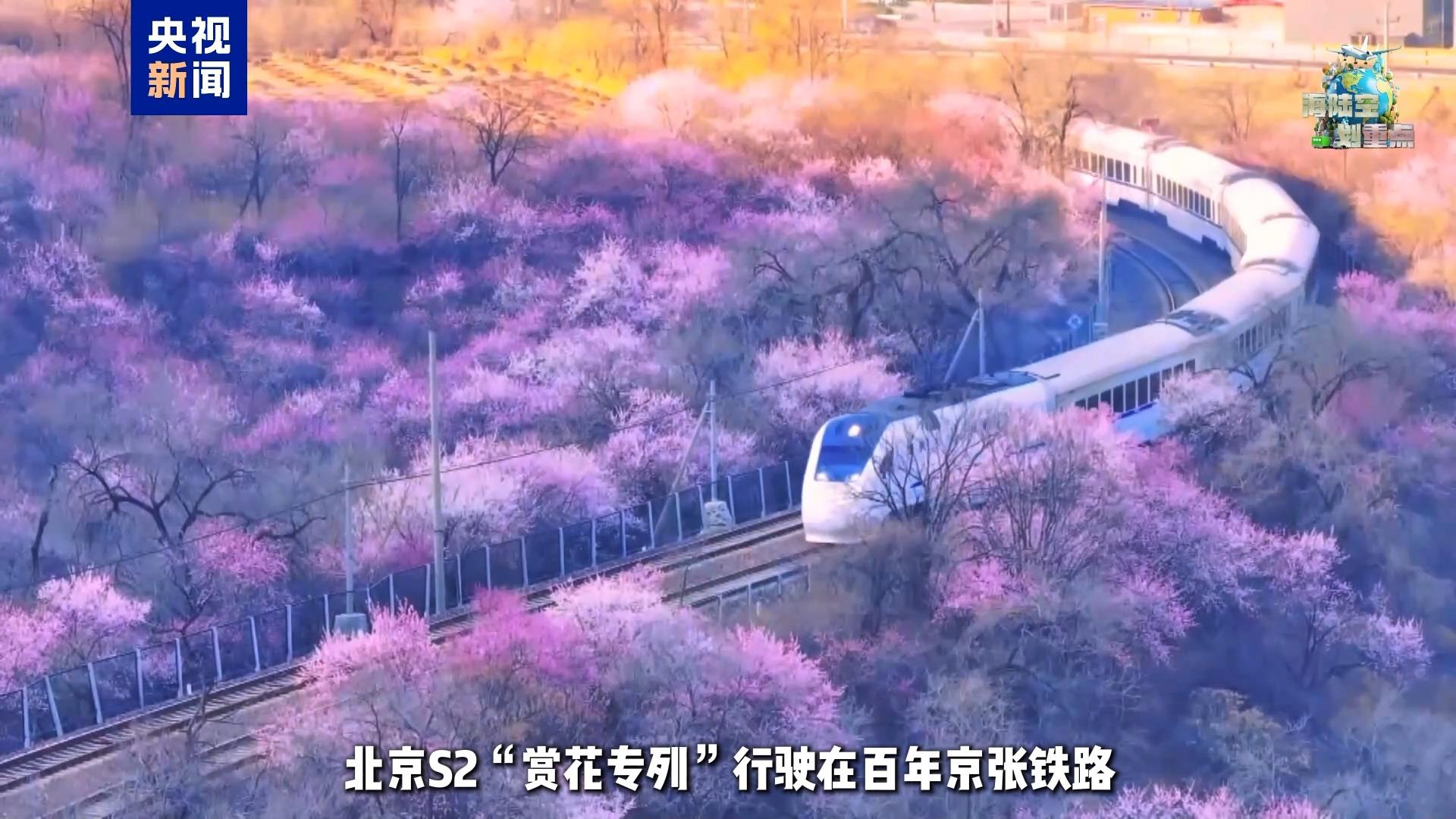 一起去坐开往春天的列车 这份清明赏花攻略请收好