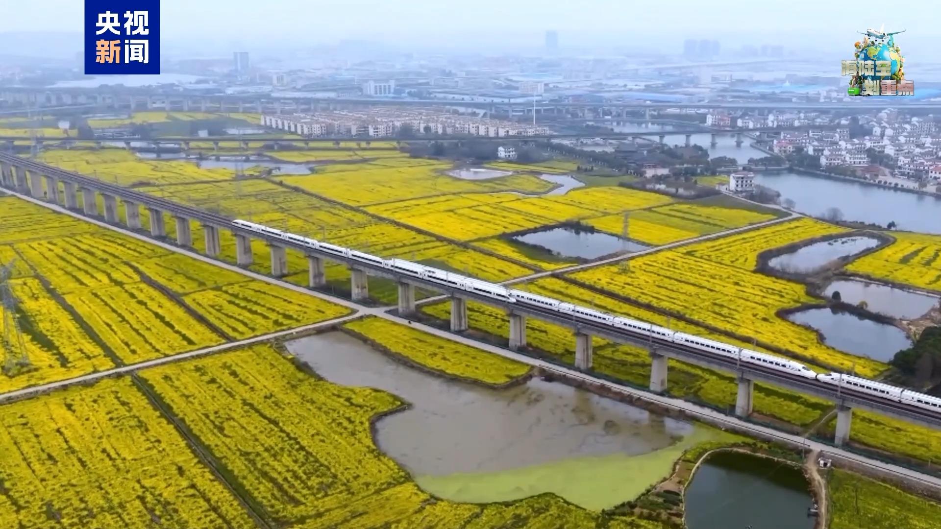 一起去坐开往春天的列车 这份清明赏花攻略请收好