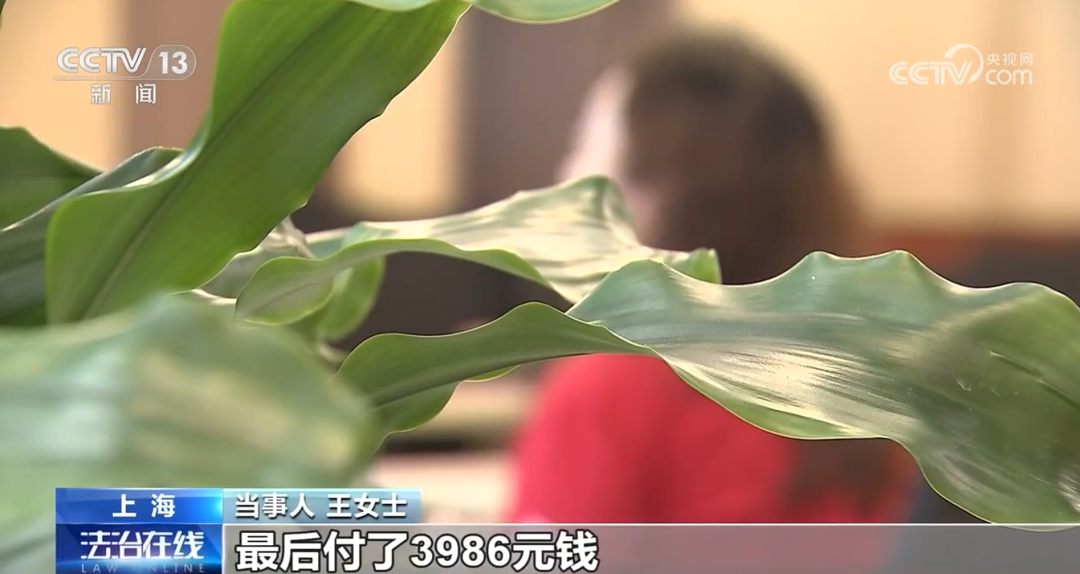 央视曝光!从医生到病人全是演员!19人全部落网 央视曝光!从医生到病人全是演员!19人全部落网