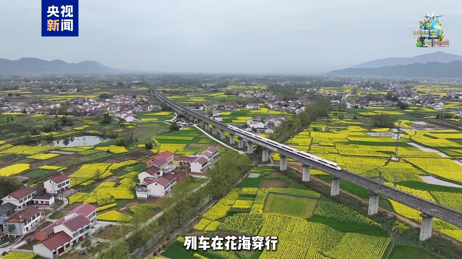 一起去坐开往春天的列车 这份清明赏花攻略请收好