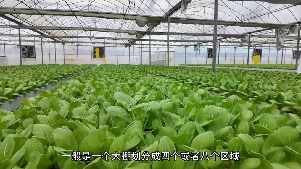 新华视点｜智启千行 融通百业——“数字福建”一线见闻