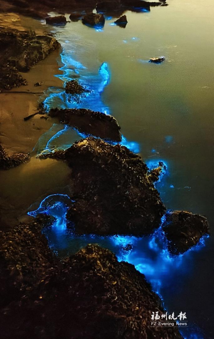 福州新区（长乐区）现“荧光海”