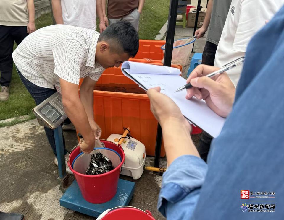“一闸三线”工程向大樟溪投放12.8万尾“原住民”鱼苗