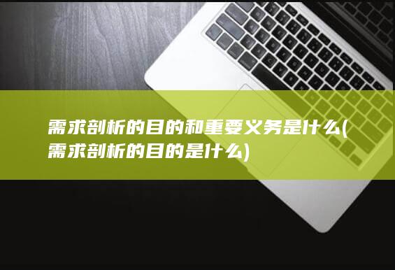 需求剖析的目的是什么