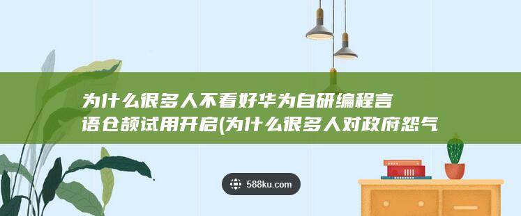 为什么很多人不看好