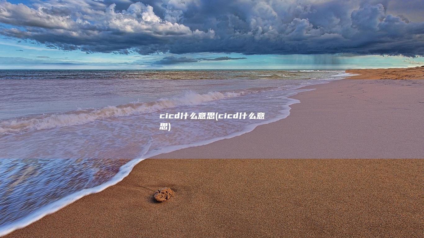什么意思
