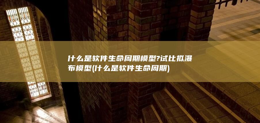 什么是软件生命周期