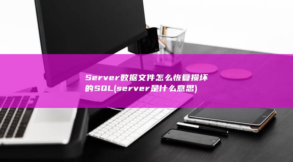 server是什么意思