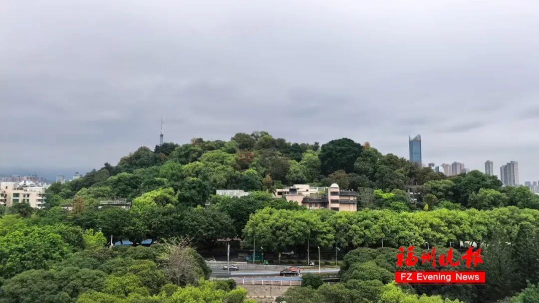 直升10℃！“五一”假期，福州天气又将大反转！