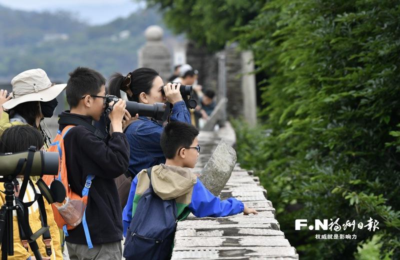 关爱飞鸟 共护闽海
